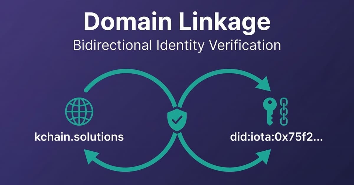 Domain Linkage: How DIDs Connect Business Identity to the Web